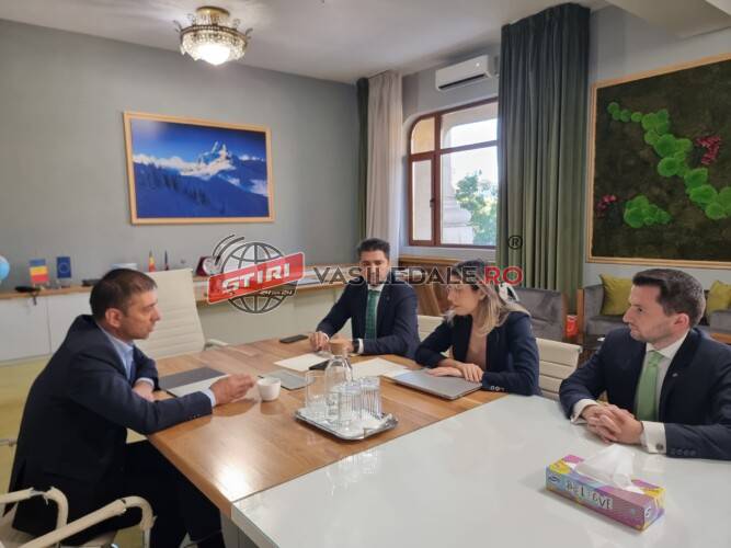 Gabriel Zetea: STOP tăierilor de pe Valea Vaserului. Începe lupta pentru protejarea unei comori!