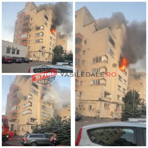EXCLUSIV: Incendiu violent la etajul 4 al unui bloc cu zece etaje din Baia Mare. Locatarii evacuați, doi primesc ingrijiri medicale (video)
