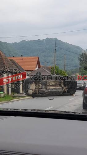 Accident rutier cu o victimă pe D.J. 186 în localitatea Bârsana (foto)