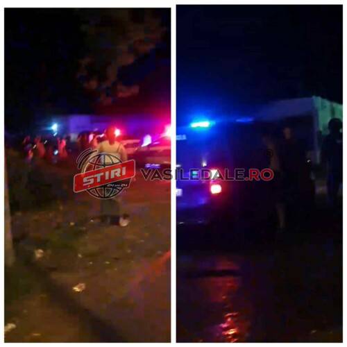 EXCLUSIV: Polițiștii din Baia Mare și mascații de la jandarmerie au intervenit pe strada Electrolizei pentru aplanarea unui scandal. 2 persoane au ajuns la spital (video)