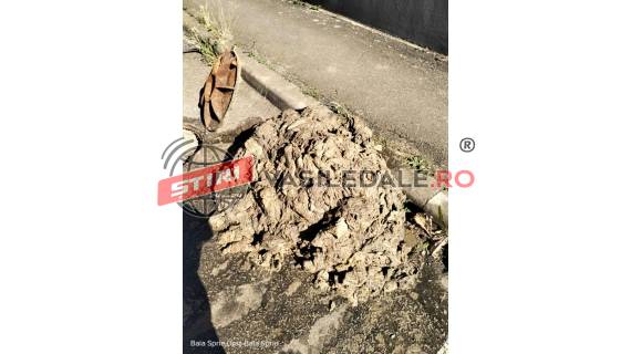 SEMNAL DE ALARMĂ: Utilizare necorespunzătoare a sistemului de canalizare în Baia Sprie!
