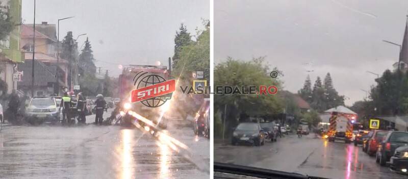 EXCLUSIV VIDEO: Copac căzut peste mașina poliției la Târgu Lăpuș – actualizare