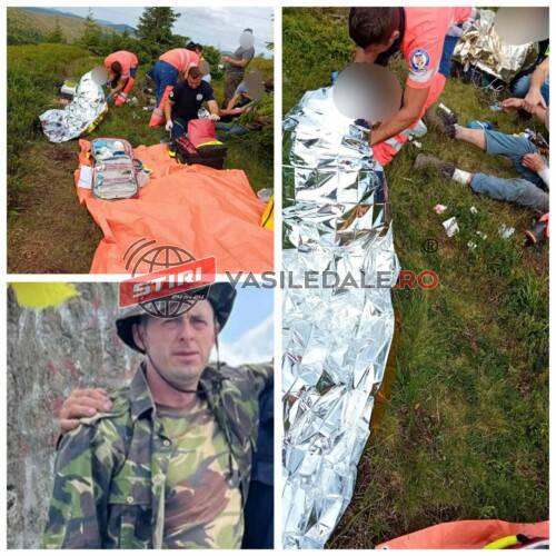 d5c85478-2323-4b4d-be7f-77230d98341c