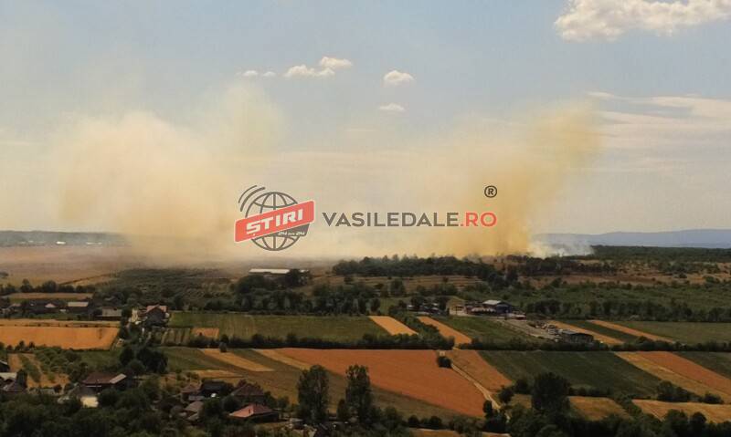 EXCLUSIV FOTO: 10 hectare de vegetație în flăcări la Șomcuta Mare – video