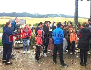 EVOLUȚIA MINORELOR DE LA PONORÂTA: 15 minore au născut deja, iar alte 5 minore sunt însărcinate