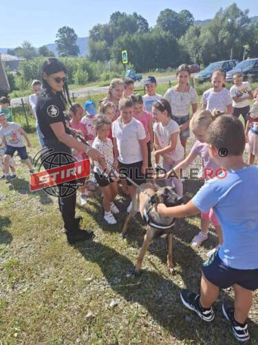 01ccdf51-0528-4c8f-8045-8dac290e123c