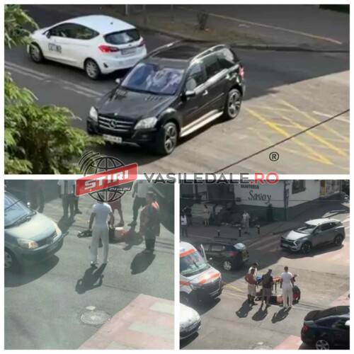 0a980342-1021-441e-90b3-d3bff18c6909