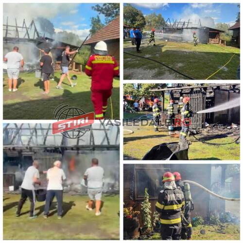 50043170-3242-4fe2-a00a-eeeaecf55286