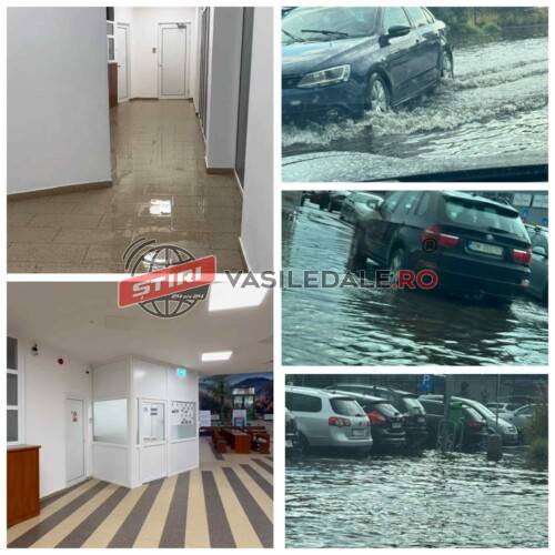 EXCLUSIV: Recent reabilitat sediul Serviciului Permise Auto și Înmatriculări din Baia Mare sunt sub ape! Ploaia a inundat și străzile orașului (VIDEO) – ACTUALIZARE