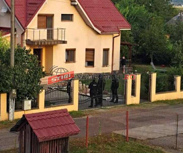 EXCLUSIV FOTO: Percheziție cu mascați în Săsar la domiciliul bărbatului care ar fi tras după copiii care jucau fotbal. S-a ridicat o praștie de fabricație industrială