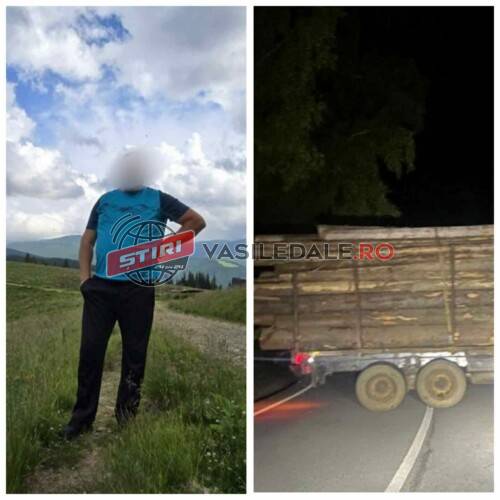 ad3139a2-6ae7-48d2-8020-350bd3609b2b