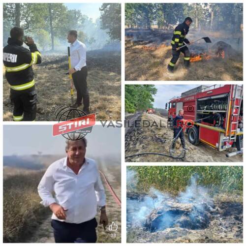 Focul de la Fersig a pornit de o aprindere a unor resturi vegetale a unui localnic. Florian Sălăjeanu, prefect Maramureș: ”Nepăsarea și nesimțirea nu trebuie să ne caracterizeze. Trebuie să fim responsabili”