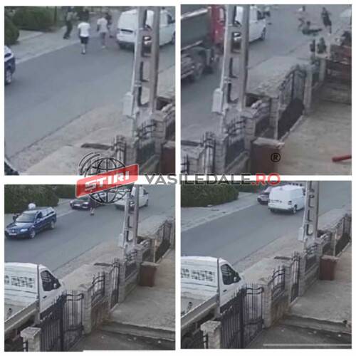 c5da1183-f099-4eed-b68e-48538aea9dfc