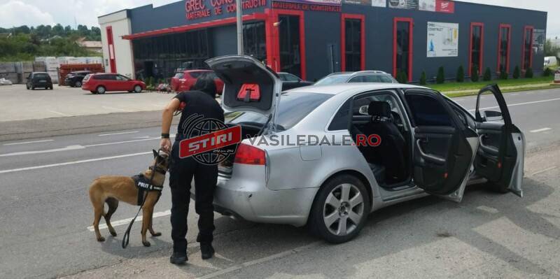 BAIA SPRIE: Polițiștii, sprijiniți de Nyx într-o acțiune pe linie rutieră (foto)