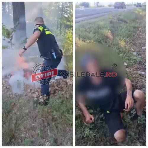 VIDEO: Un bărbat a încercat să aprindă pădurea “2 veverițe”. Un polițist a stins focul