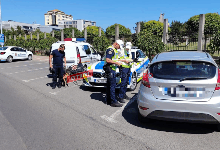 BLOCADA: Două acțiuni organizate ieri în Maramureș. Peste 200 persoane legitimate și 180 de autovehicule controlate