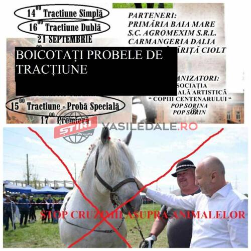 68ac2bc6-4fff-4128-b238-a5dfb88428fa