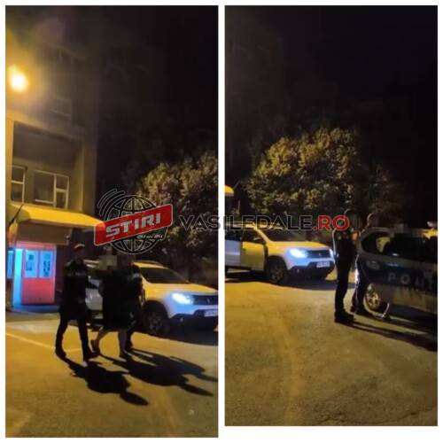 INCREDIBIL: Tânără de 25 de ani, răpită din Baia Mare de doi bărbați. A fost ținută captivă într-un apartament din Craiova (foto/video)