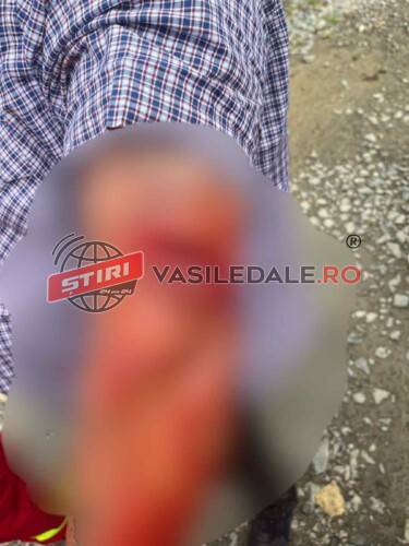 EXCLUSIV: Patru victime, una tăiată, în urma unei bătăi în cartierul Ponorâta. Intervin mascații . Totul a pornit de la o bicicletă (FOTO)