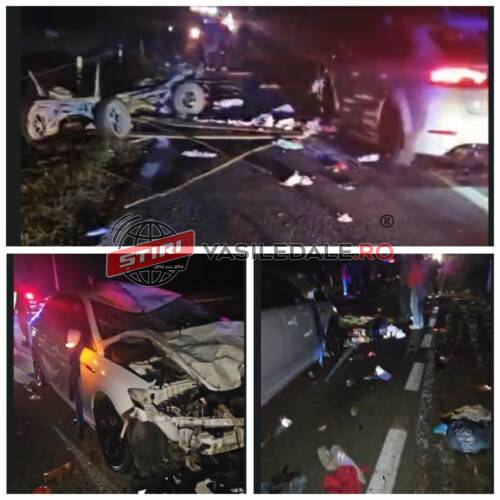 EXCLUSIV VIDEO: Căruță spulberată la Suciu de Jos: Un bebeluș de 3 săptămâni decedat, alt copil intubat în stare critică. Veneau de la LUMINAȚIE iar căruțașul era beat criță (ACTUALIZARE)