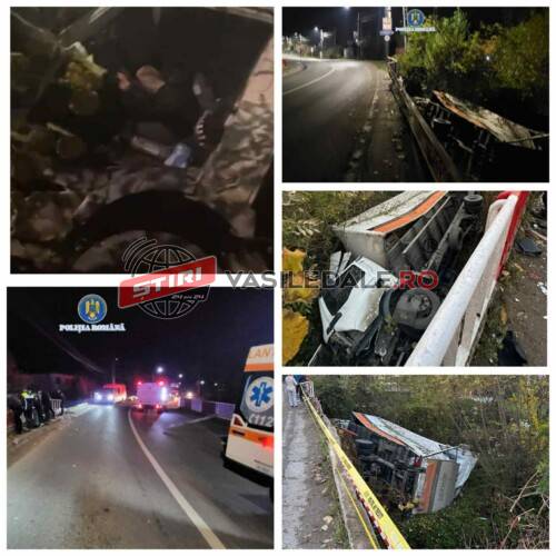 FOTO / VIDEO: O autoutilitară s-a răsturnat la Sighetu Marmației lângă albia pârâului Ronișoara (actualizare)
