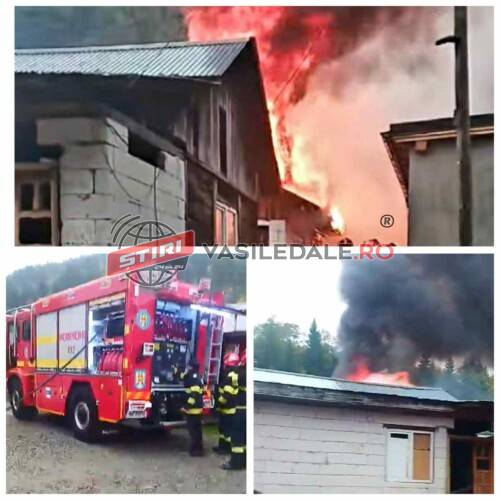 EXCLUSIV VIDEO: Incendiu violent pe o stradă din Borșa. O gospodărie în flăcări