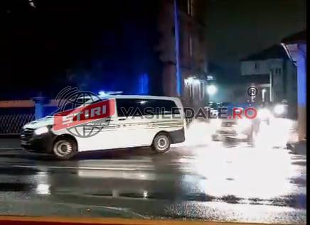 16 PERCHEZIȚII ÎN BORȘA: Este vizata mafia pădurilor. Prejudicii uriașe (video)