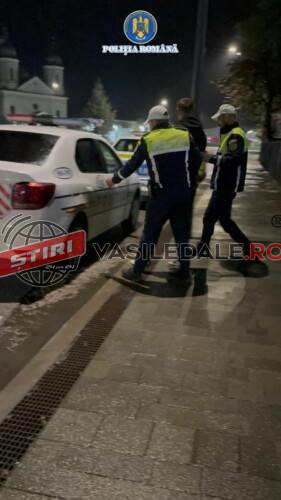 URMARIT ÎN TRAFIC: Tânăr din Dămăcușeni arestat preventiv după ce a fugit de polițiști. Și-a distrus mașina, era rupt de beat (actualizare)
