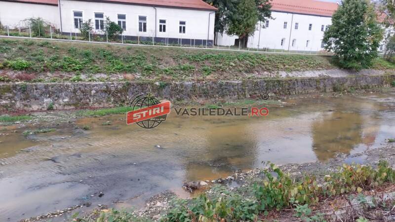 Poluare accidentală a râului Săsar, în municipiul Baia Mare