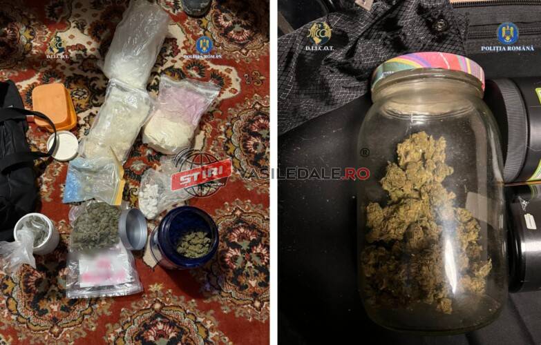 RĂZBOI ÎMPOTRIVA DROGURILOR: Percheziții simultane în Maramureș și Bistrița-Năsăud