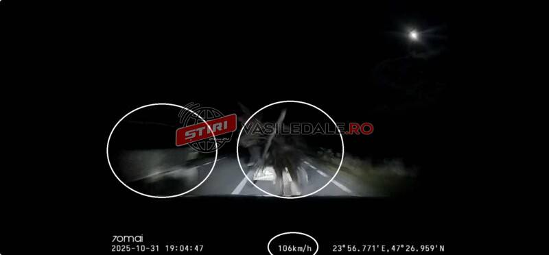 Momentul în care o căruţă cu patru copii este spulberată de o maşină. Căruțașul depășea o altă căruță. Un bebeluş a murit (VIDEO) Momentul în care o căruţă cu patru copii este spulberată de o maşină. Căruțașul depășea o altă căruță. Un bebeluş a murit (VIDEO)