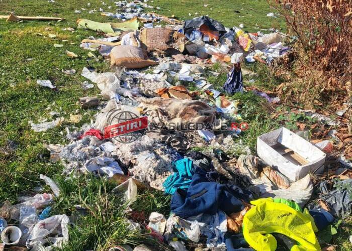 POLIȚIA LOCALĂ: Acțiune de igienizare la sesizarea cetățenilor!