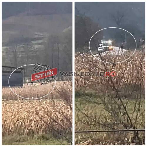 EXCLUSIV: Tată și fiu din Rohia arestați preventiv pentru tentativă la omor. I-au bătut cu parii pe doi consăteni (tată și fiu). Unul a fost operat de urgență