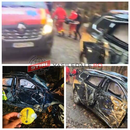 5 tineri și-au văzut moartea cu ochii în zona barajului Firiza. Șoferul din Negrești-Oaș începător, victima (18 ani, din VIșeu de Sus) este în stare critică (video)