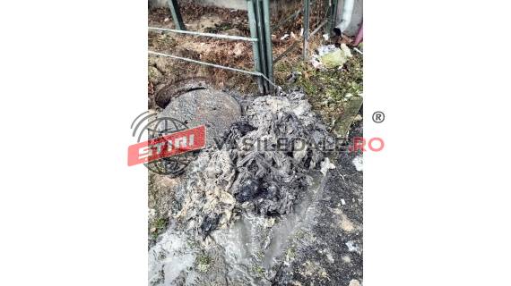 Societatea VITAL S.A. se confruntă cu o creștere a defecțiunilor cauzate de materialele nedegradabile care intră în rețelele de canalizare