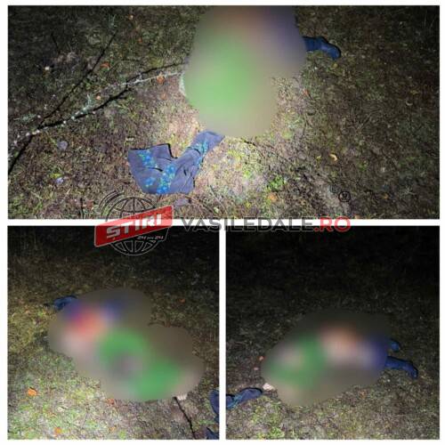 f2984d81-7d9d-4bde-bc22-7121232f1811