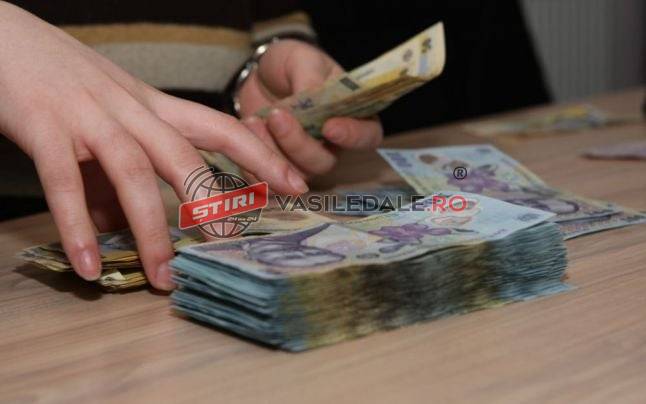 BÂRSANA: ÎNȘELĂCIUNE – A vândut o construcție de două ori și a luat bani pentru construcția unei cabane de lemn și a unui foișor