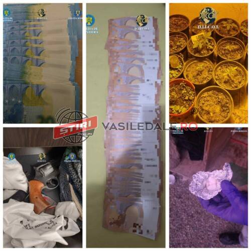 Doi bărbați și o femeie arestați preventiv: Mascații au găsit droguri de risc și mare risc dar și euro ce par a fi falși (foto)
