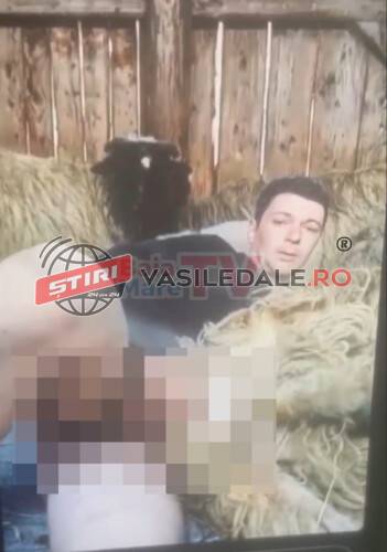 Caz oribil în Maramureș – Cioban din Rona de Jos cercetat penal de polițiștii maramureșeni (VIDEO)