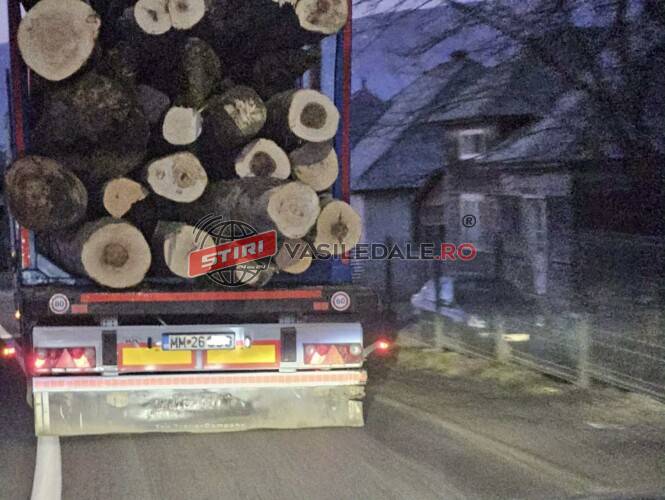 DOSAR PENAL PENTRU TRANSPORTUL MATERIALELOR LEMNOASE: Cantitatea de peste 42 mc de material lemnos a fost confiscată, iar ansamblul de vehicule, indisponibilizat (FOTO / ACTUALIZARE)
