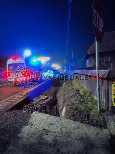 VIDEO: Accident în Giulești – Un șofer a ajuns cu mașina într-un podeț, apoi a plecat