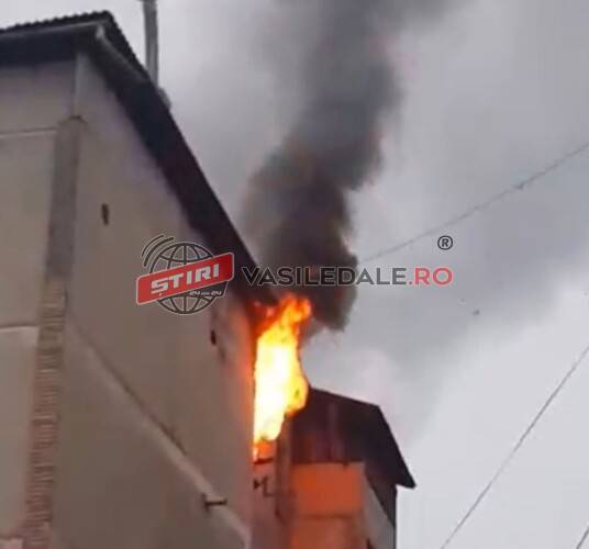 EXCLUSIV VIDEO: Incendiu violent într-un bloc din Borșa. Trei copii și patru adulți au fost evacuați EXCLUSIV VIDEO: Incendiu violent într-un bloc din Borșa. Trei copii și patru adulți au fost evacuați