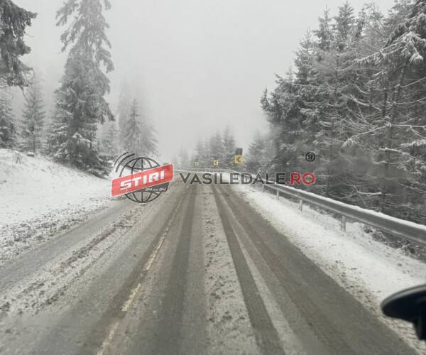 COD GALBEN: Ninsori viscolite în zona înaltă a județului – actualizare COD GALBEN: Ninsori viscolite în zona înaltă a județului – actualizare