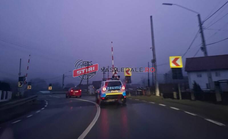 RUTIERE: Accident pe strada Gării provocat de un șofer băut. Urmăriri, alcool și conducere fără permis pe șosele, transport ilegal de material lemnos în Borșa, acțiuni rutiere în Șomcuta Mare RUTIERE: Accident pe strada Gării provocat de un șofer băut. Urmăriri, alcool și conducere fără permis pe șosele, transport ilegal de material lemnos în Borșa, acțiuni rutiere în Șomcuta Mare