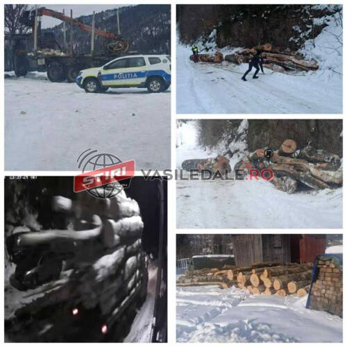 EXCLUSIV: Cum se FURĂ zi și noapte pădurile din zona Vișeu – Borșa. În miez de noapte, cu TATRA neînmatriculată dar cu antemergător. Poliția a deschis dosar penal, suspecții au dispărut (VIDEO camere de supraveghere)
