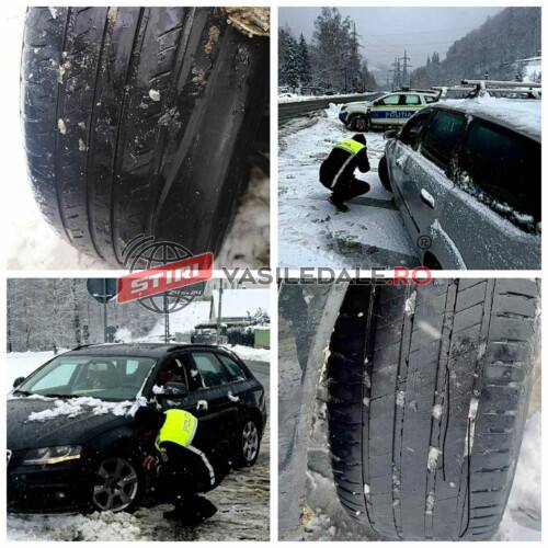 6ec817bd-d212-4b03-8171-d4145e8c1121