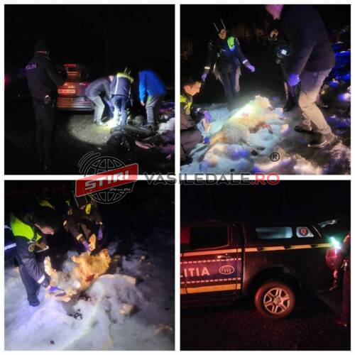 7c5b424e-dff2-433a-ad3d-9052c0a5b37c