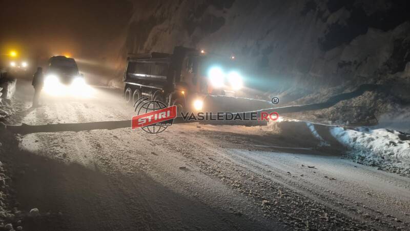 Trafic blocat temporar în Pasul Gutâi după ce un copac a căzut pe carosabil Trafic blocat temporar în Pasul Gutâi după ce un copac a căzut pe carosabil