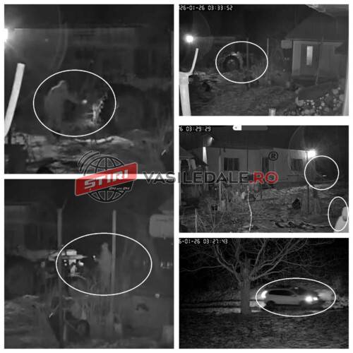 ebca0f38-68fc-4439-a413-29686659f46a