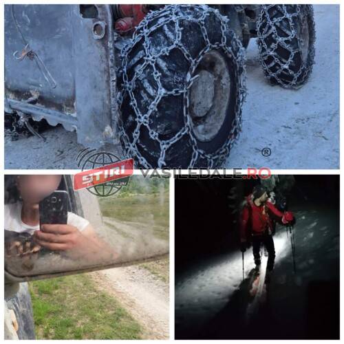 EXCLUSIV: Moarte cumplită pentru un tânăr din Borșa. TAF-ul l-a strivit de copacul pe care voia să îl taie de pe fondul forestier al OS Borșa din munții Maramureșului (FOTO)